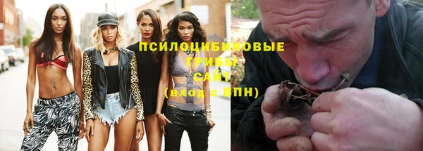 бошки Горняк