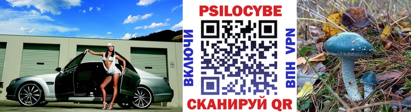 сколько стоит  Нефтекамск  Псилоцибиновые грибы Cubensis 